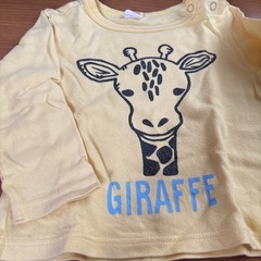 ムージョンジョンの画像