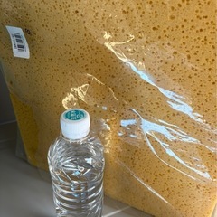 特大スポンジの画像