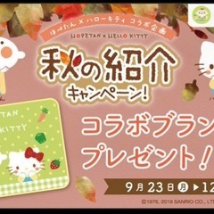 【未使用】ほぺたん ハローキティ コラボブランケット 膝掛け コープデリ co-opdeli 非売品の画像