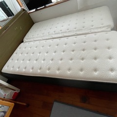 クイーンベットの画像