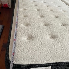 クイーンベットの画像