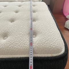 クイーンベットの画像