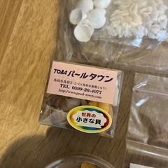 ハンドメイド材料(ドライフラワー、貝)の画像
