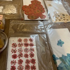 ハンドメイド材料(ドライフラワー、貝)の画像