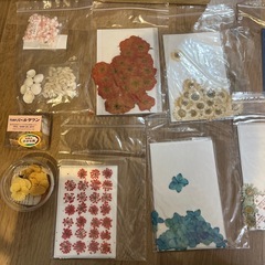 ハンドメイド材料(ドライフラワー、貝)の画像