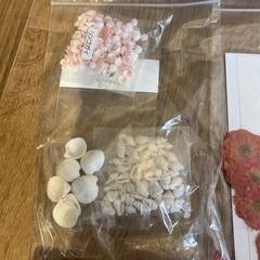 ハンドメイド材料(ドライフラワー、貝)の画像