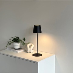 タッチライトの画像