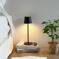 タッチライトの画像