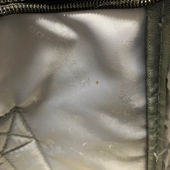 ペット　キャリーバッグの画像