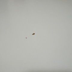 折りたたみテーブルの画像