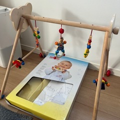 
ベビージム、手押し車の画像