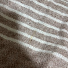 電気毛布の画像