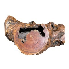 【無垢】　天然木　飾り木　置物　オブジェの画像