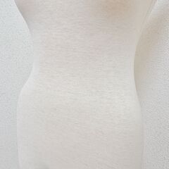 トルソー【引っ越しのため〜12/9までにお渡しできる方限定】の画像