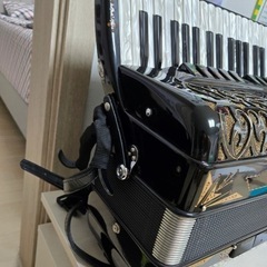 Ottavianelli アコーディオンの画像