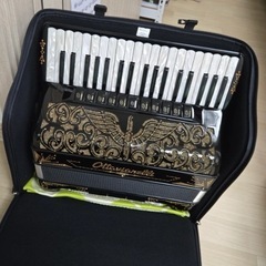 Ottavianelli アコーディオンの画像
