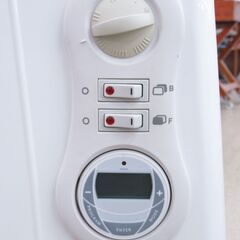 ディンプレックス ハイブリッドヒーター パネルヒーター＆オイルヒーター CVP21TJ G-2527の画像