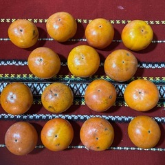 訳あり柿15個（第3弾）の画像