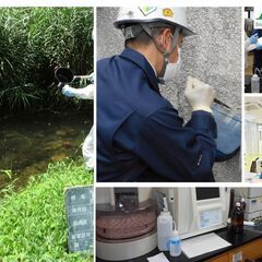 アシスタント　正社員 募集中！の画像