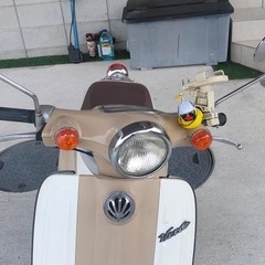 SUZUKI Verde50 美車の画像