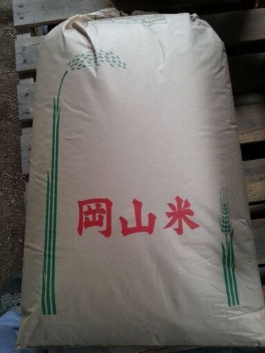 ❶おまけ付き　アケボノ　令和7年産　玄米20Kg　農家直送　生活応援　家計にやさしい　おまけ付き