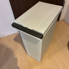 ゴミ箱　ペダル式　黒　白　2つ　　の画像