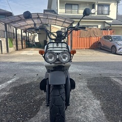 ホンダズーマーの画像