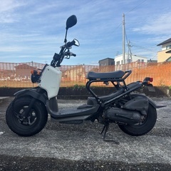 ホンダズーマーの画像