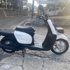 ギア50【525】の画像