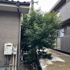 草刈り・伐採・剪定ならお任せあれ！