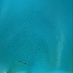 交渉中なります。　バンボの画像