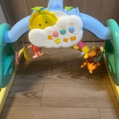 プーメリーの画像