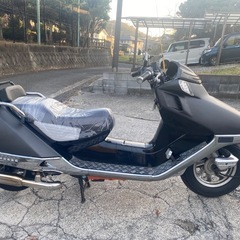 フュージョンX【529】の画像