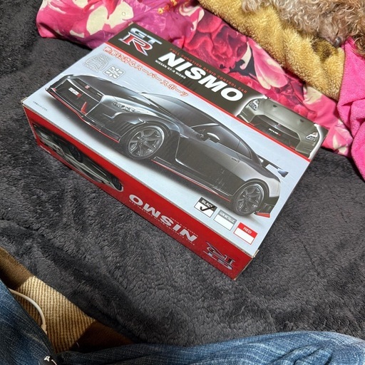 値段交渉OK　新品　GTR NISMO らラジコン