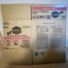 プロフェッショナルバランス　子犬用の画像