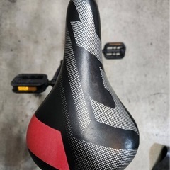 NO.53 子供自転車 DRIDE ドライド 22インチ     の画像