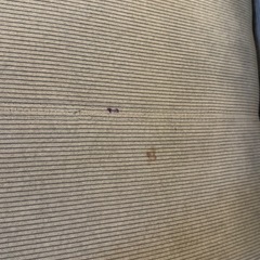 カウチソファの画像