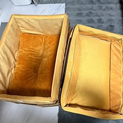 猫用　ベット　の画像