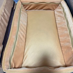 猫用　ベット　の画像