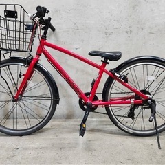 NO.54 子供自転車 SCHLEIN シュライン BRIDGESTONE 24インチの画像