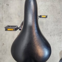 NO.54 子供自転車 SCHLEIN シュライン BRIDGESTONE 24インチの画像