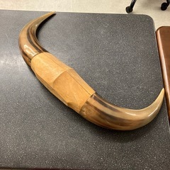 イ2512-012 水牛の角 置き物 ベージュ キズ汚れ有りの画像