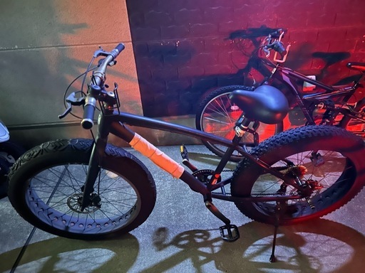 ファットバイク