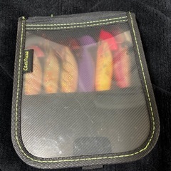 エギング　ティップラン　アオリイカの画像