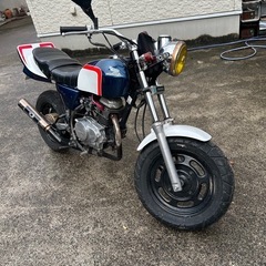 エイプ50 ボア80の画像