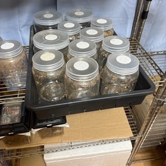 中古　昆虫菌糸瓶入れ(網トレー) 20枚の画像