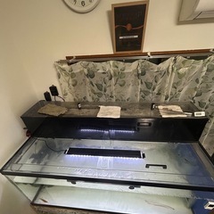 アクリル水槽の画像