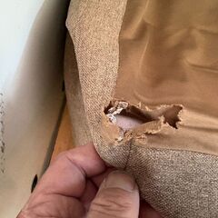 ビーズクッションの画像