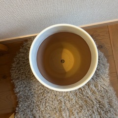 植木鉢　鉢カバーの画像