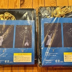 ★★ディズニーリゾート　カーテン　新品★★松本市よりの画像